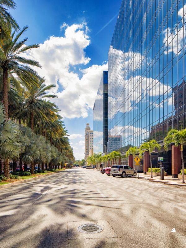 Professional Building Cleaning & Maintenance